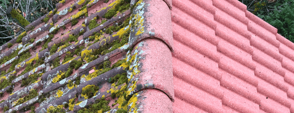 NETTOYAGE & DÉMOUSSAGE